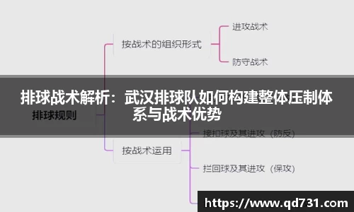 排球战术解析：武汉排球队如何构建整体压制体系与战术优势